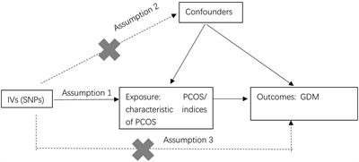 Investigating the causal impact of polycystic ovary syndrome on gestational diabetes mellitus: a two-sample Mendelian randomization study
